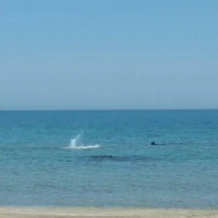 Appartamento Victoria